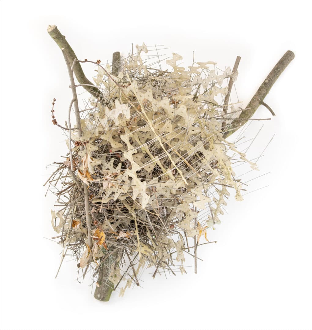 Color photograph of bird nest made of twigs and knotted metal and plastic parts.