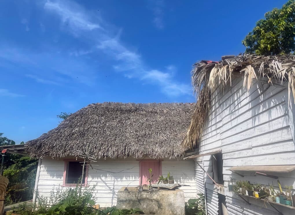 Color photograph of two white-clapboard buildings with thatched roofs, under bright blue sky.