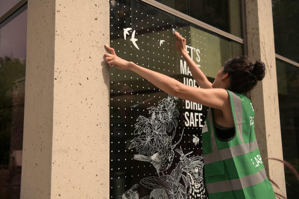 Color photograph of young white woman wearing green safety vest installing a white-and-transparent decal on a large plate-glass window. Decal includes grids of dots, drawings of birds, and the words LET'S MAKE UOFT BIRD SAFE.