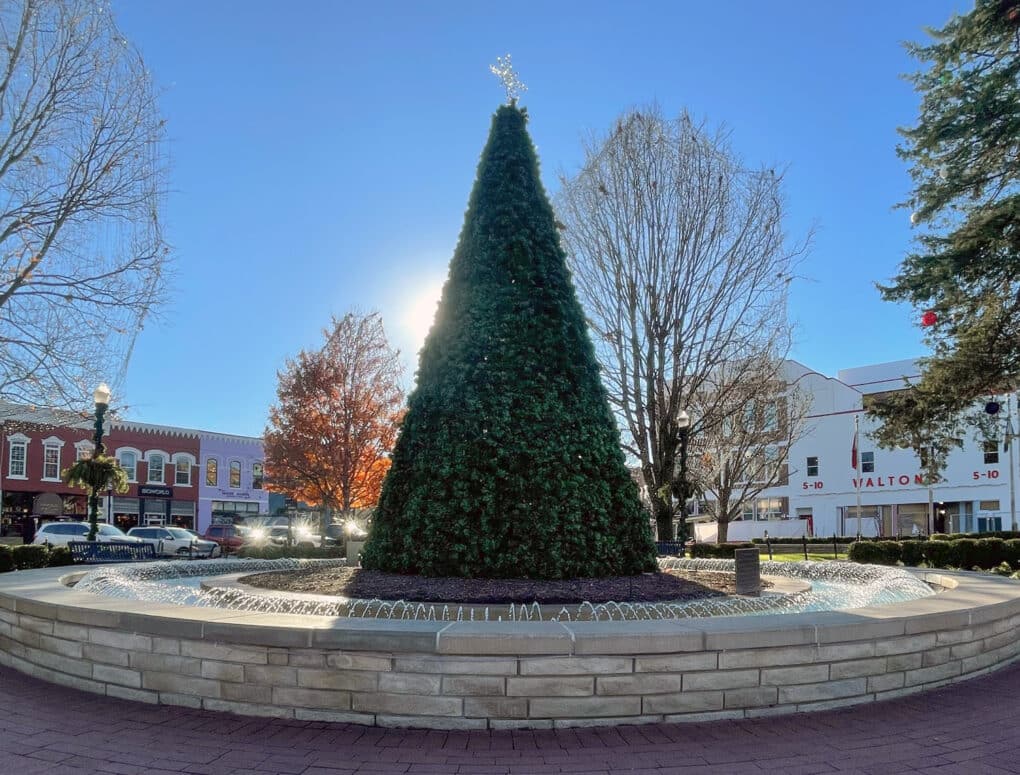 Color photograph of a large holiday tree, topped by a star, in an outdoor circular enclosure in a small city park. Behind it a white shopfront reads "Waltons 5-10."