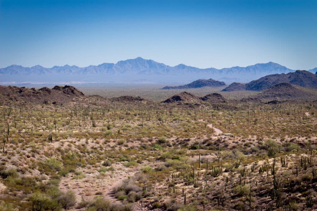 Landscape photo of vast desert with scrub brush and mountains in distance. 