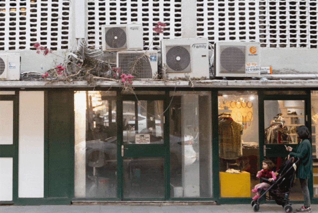 Photograph by Kwan Queenie Li, of weeds growing amidst building equipment, from Weeds: A Germinating Theory.