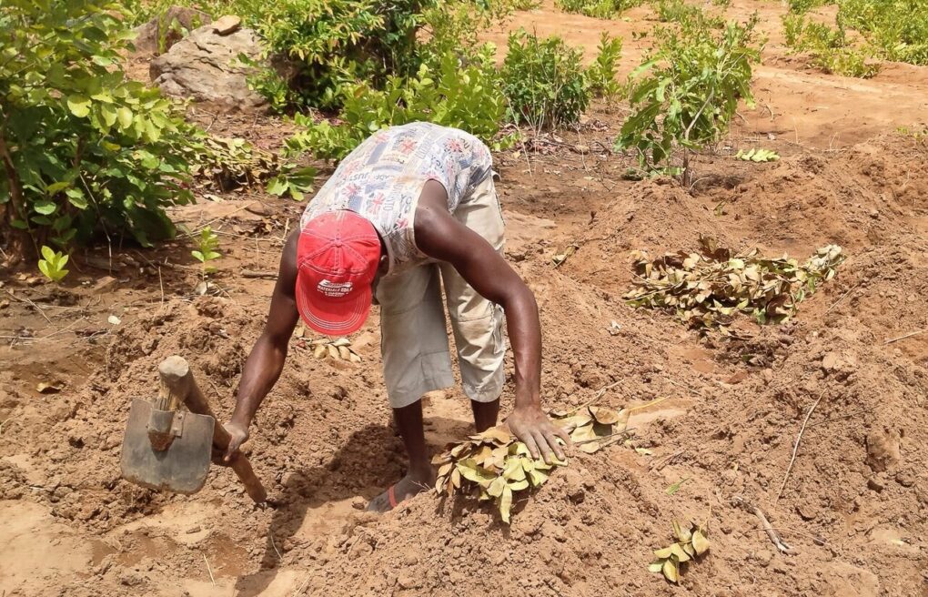 Color photo of a dark-skinned person in a red, bending over, working in dirt with a hoe.