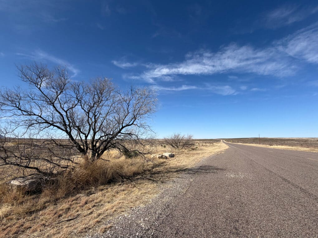 Color photograph of a narrow, empty road under blue sky on flat land, with no traffic or buildings anywhere; a few scrubby trees are in the fore- and mid-ground.