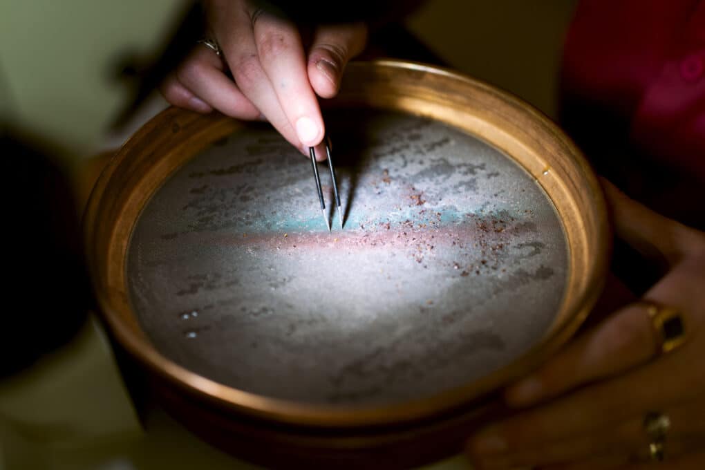 Spotlight illuminates a very fine mesh sieve, and a hand poking at something minute with pointed tweezers.