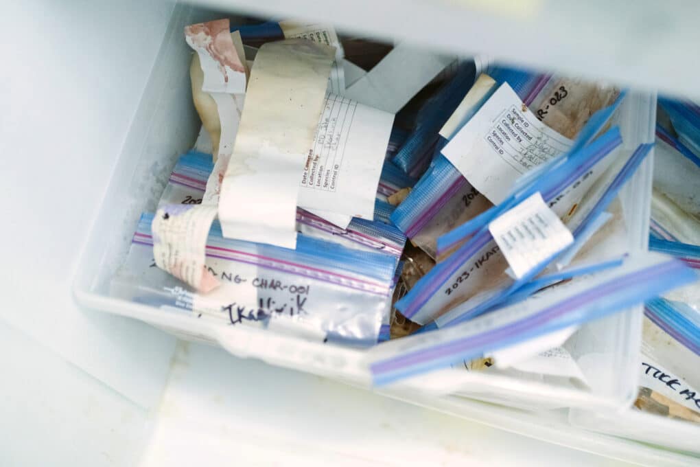 Top-down view of a plastic tub filled with sandwich-size ziplock bags, each labelled with black Sharpie and an attached slip of white paper. Some of the white papers have blood stains.