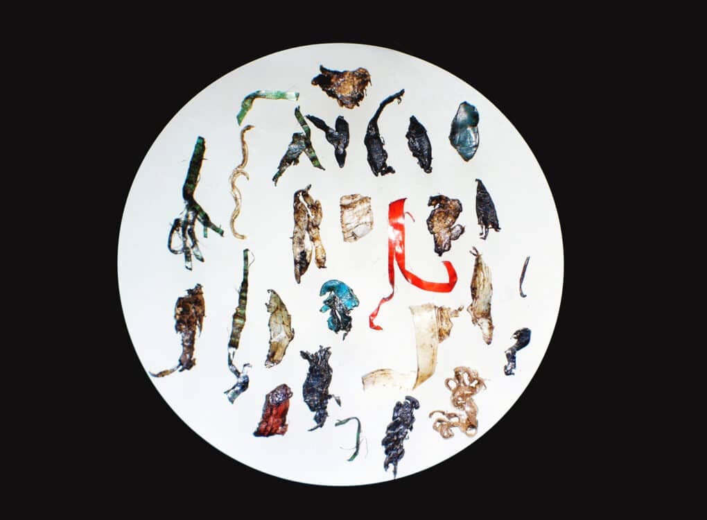 High contrast image of many oddly shaped and brightly colored plastic bits on a white circle background, as if viewed under a microscope.