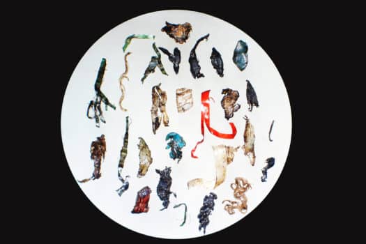 High contrast image of many oddly shaped and brightly colored plastic bits on a white circle background, as if viewed under a microscope.
