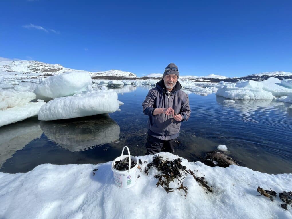 A man is smiling, standing almost waist deep in water with visible icebergs. His hands are glove-less, and he is opening mussels.