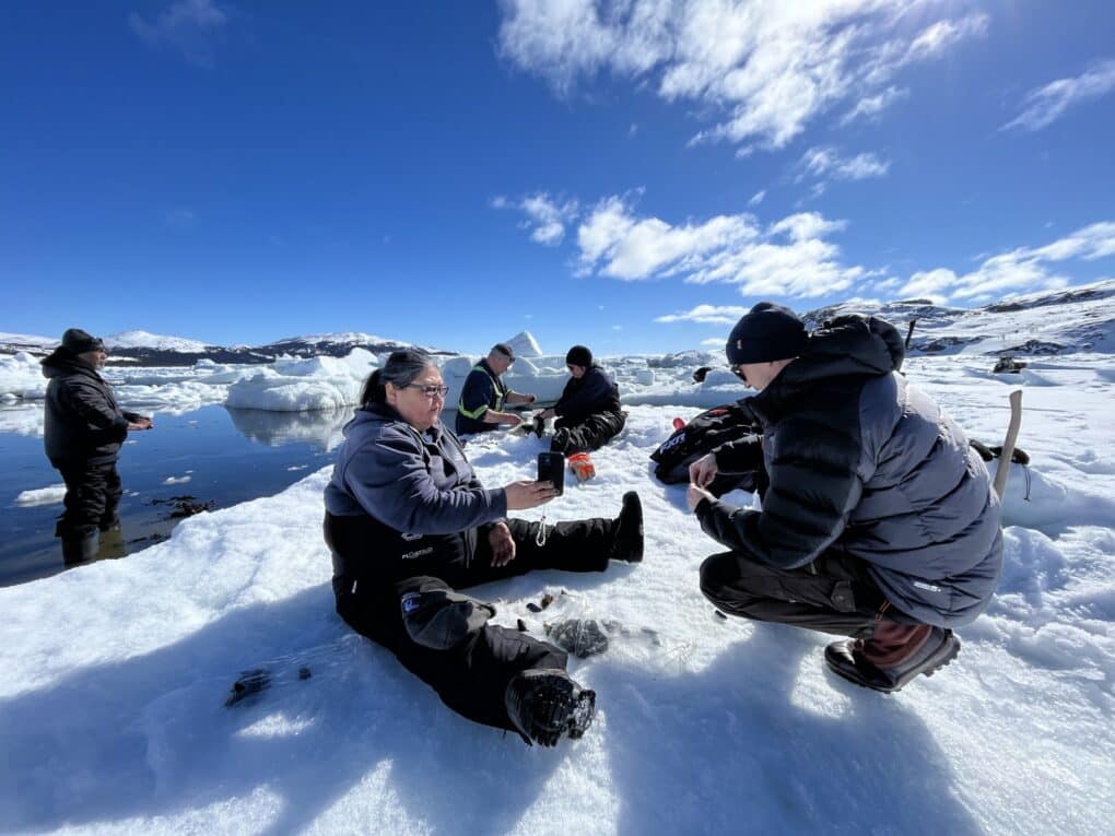 About five people are sitting or squatting on ice, opening mussels. One is using their phone to take a photo. 