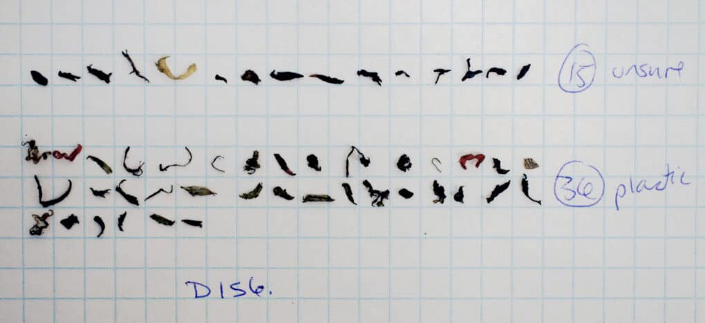 A series of tiny twisted bits have been neatly laid out on graph paper and tallied in blue pen. The first row says "15, unsure," and the second row says "36, plastic."